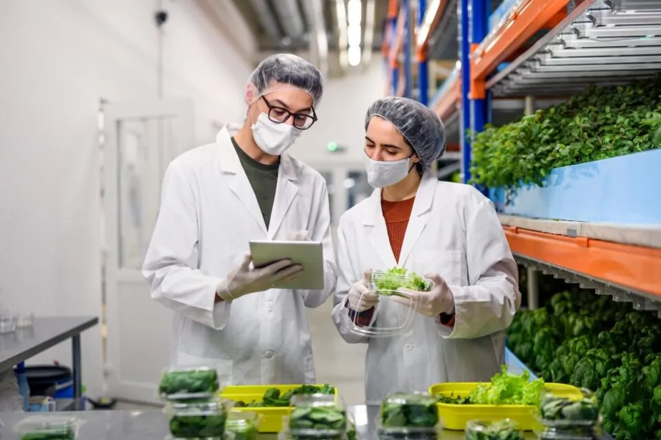 Iso 22000 Front View Workers With Face Mask Aquaponic Farm Sustainable Business