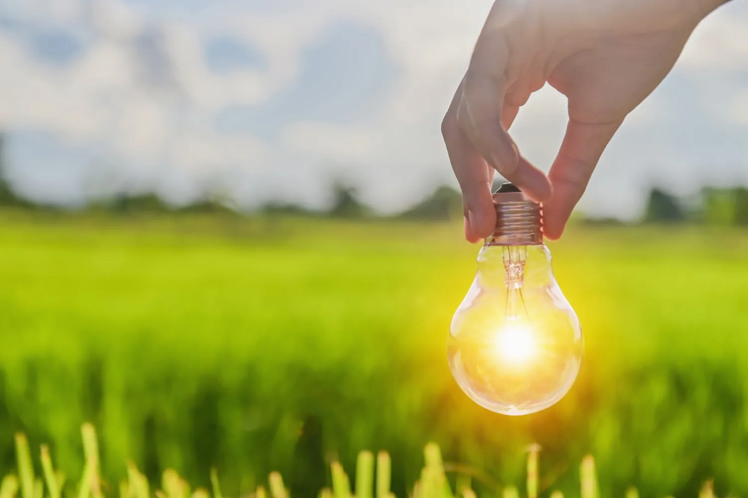 Hand Holding Light Bulb With Sunshine. Concept Power Energy In N